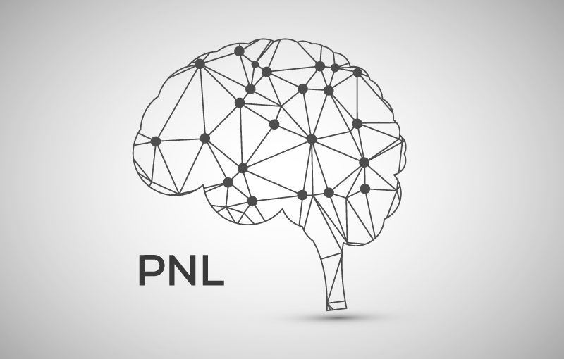 Programmazione Neuro Linguistica (PNL) e dintorni