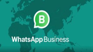 il catalogo whatsapp business